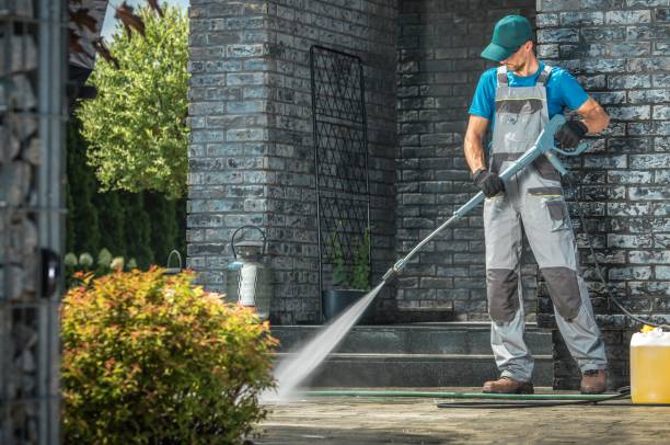 Best Fence Cleaning  in Bonnie Brae, IL