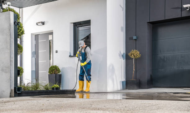 Best Building Exterior Washing  in Bonnie Brae, IL