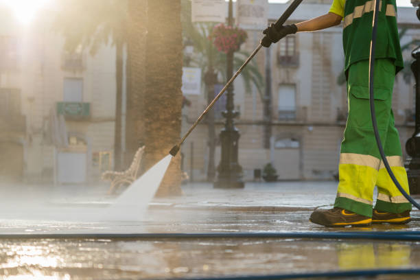 Best Gutter Cleaning  in Bonnie Brae, IL
